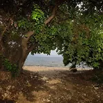 Alethea's Sea View * Kalamaki (Messinia)