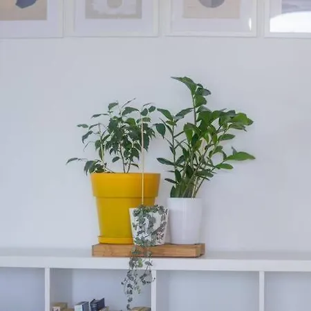 Alethea's Sea View * Kalamaki (Messinia)