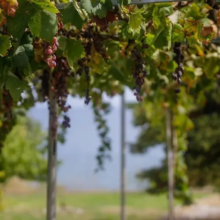 Alethea's Sea View *