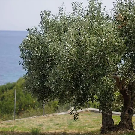 Alethea's Sea View Διαμέρισμα *