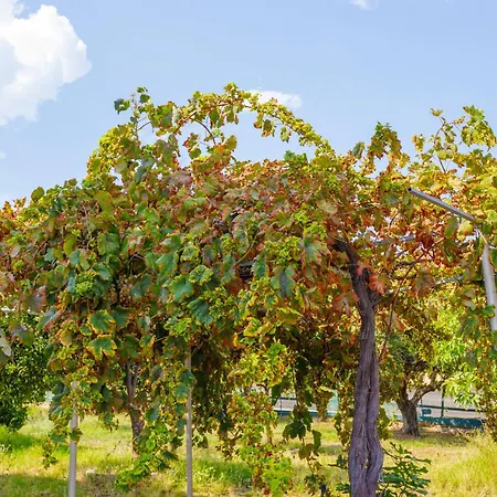 Apartmán Alethea's Sea View *