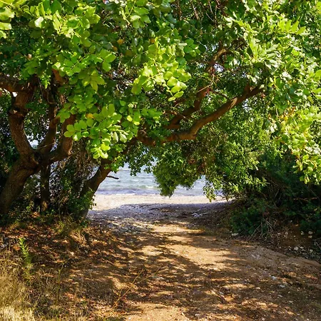 Apartmán Alethea's Sea View