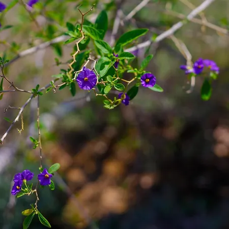 Alethea's Sea View Apartmán Kalamaki (Messinia)