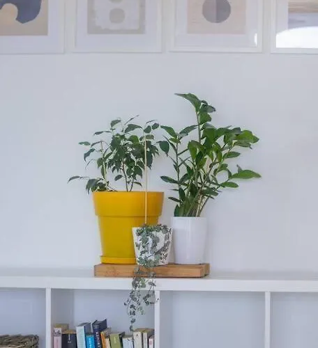 Alethea's Sea View * Kalamaki (Messinia)