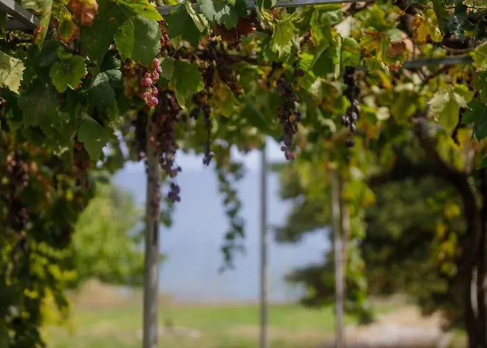 Alethea's Sea View *