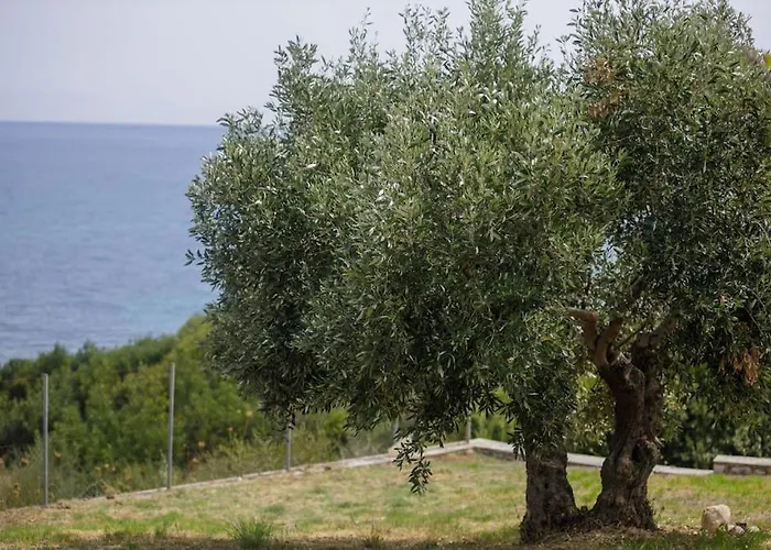 Alethea's Sea View Apartamento *