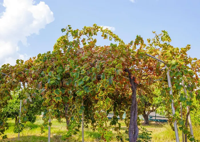 Apartamento Alethea's Sea View *