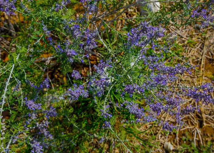 Apartamento Alethea's Sea View Kalamaki (Messinia)