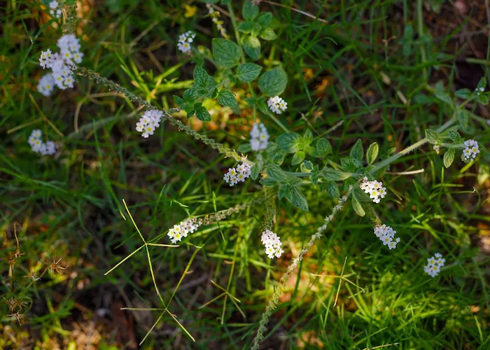 Alethea's Sea View Apartamento Kalamaki (Messinia)