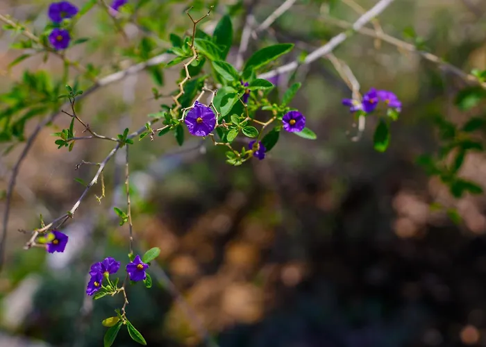 Alethea's Sea View Apartamento Kalamaki (Messinia)