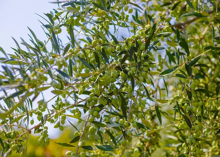 Apartamento Alethea's Sea View