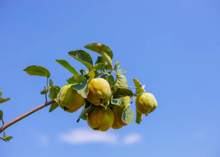 Alethea's Sea View *